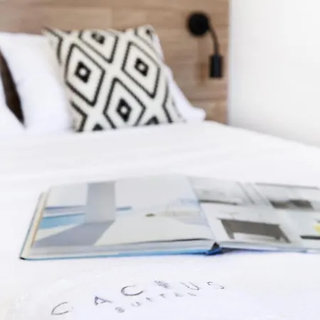 Cactus Kythnos Отель Merichas