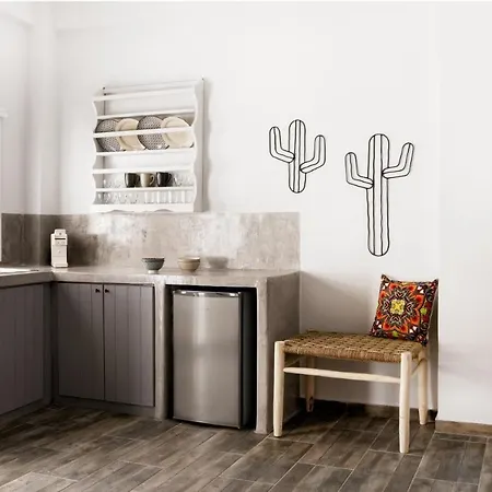 Cactus Kythnos Mérichas