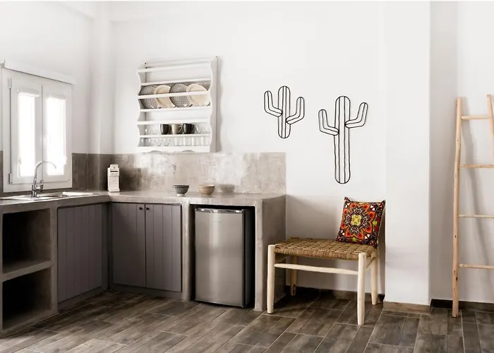 Cactus Kythnos Merichas